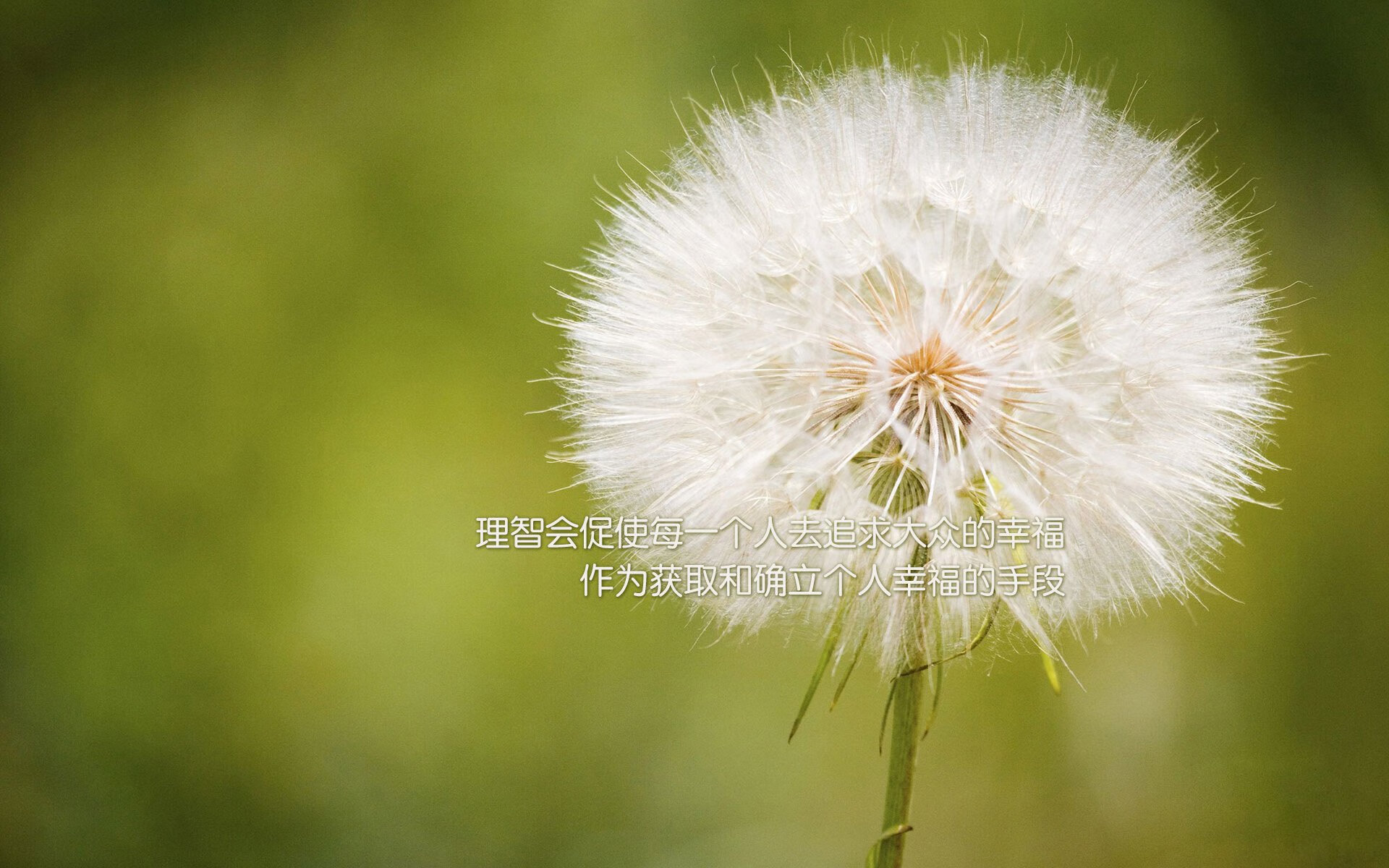 _极限飞跃：跨越自然天险的勇者之旅_，飞跃极限是什么游戏