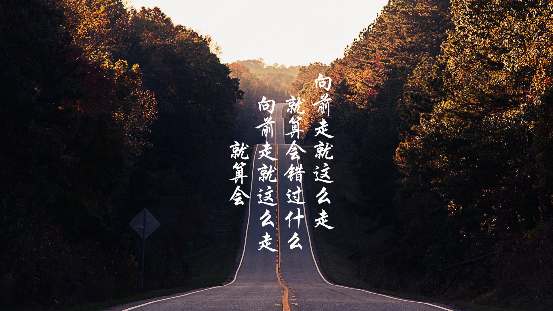 冬季雪域滑雪王者争霸，雪地上的速度与耐力，雪景滑雪