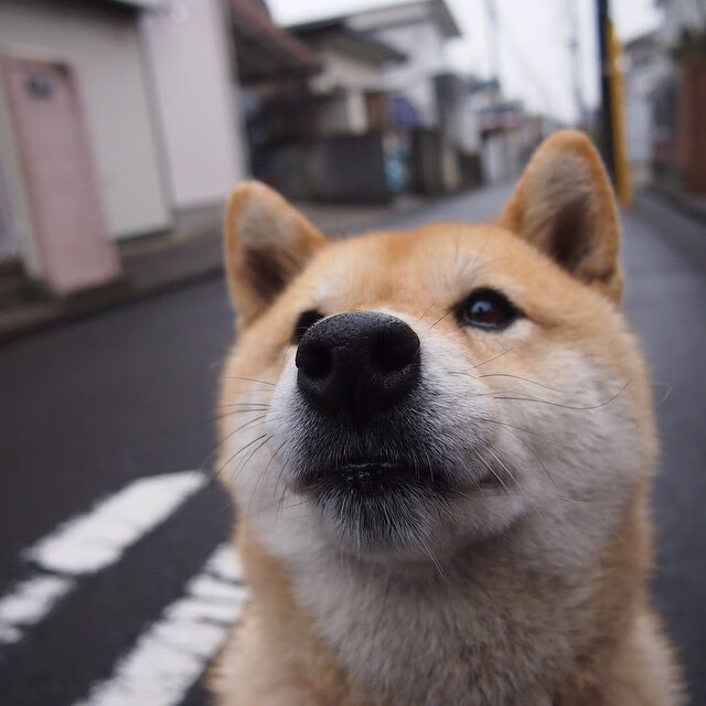 史上最具影响力欧冠比赛分析，欧冠最牛比赛