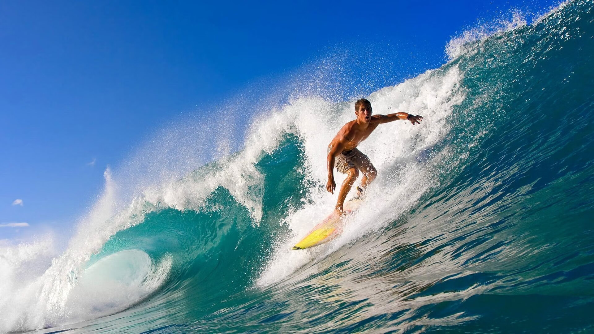 媒体开放日首次开放战术课引发广泛讨论与分析，媒体开放日活动方案