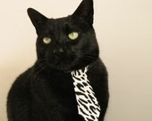 世界排球锦标赛预选赛激战正酣，中国队稳步前进，排球世界锦标赛赛程时间安排